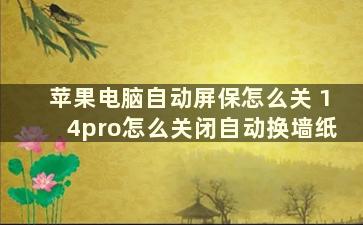 苹果电脑自动屏保怎么关 14pro怎么关闭自动换墙纸